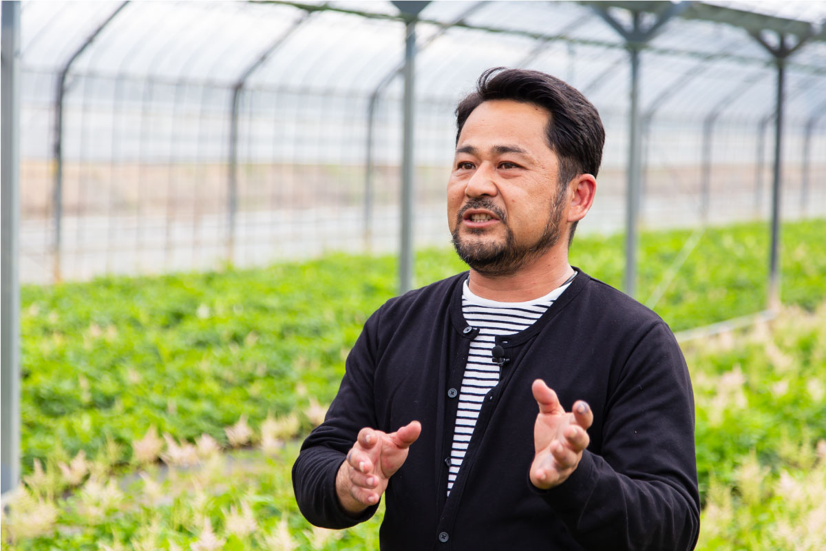 アスチルベ生産者の浦純二