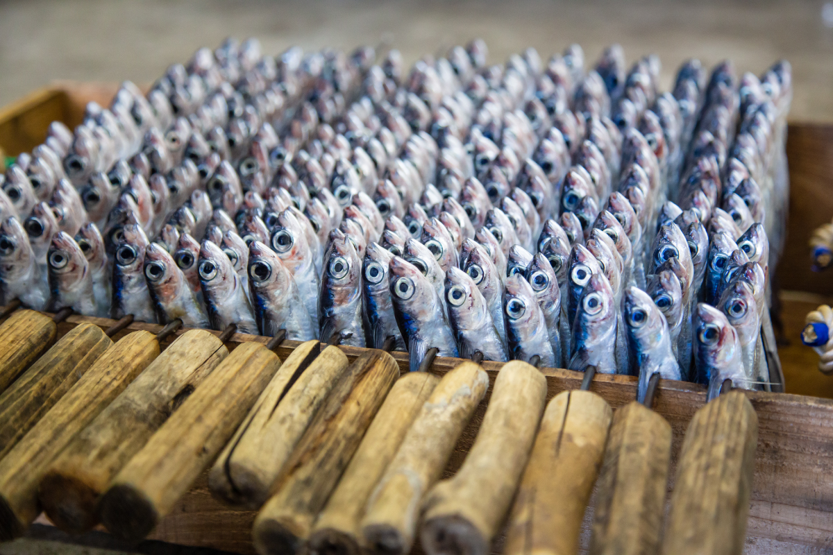 炭火で焼かれるトビウオ