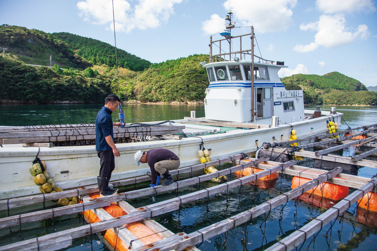 岩牡蠣養殖する山田さん
