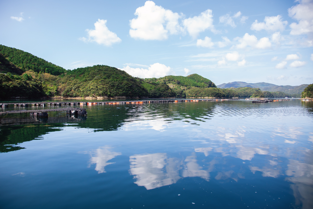 岩牡蠣が栽培される上五島の海