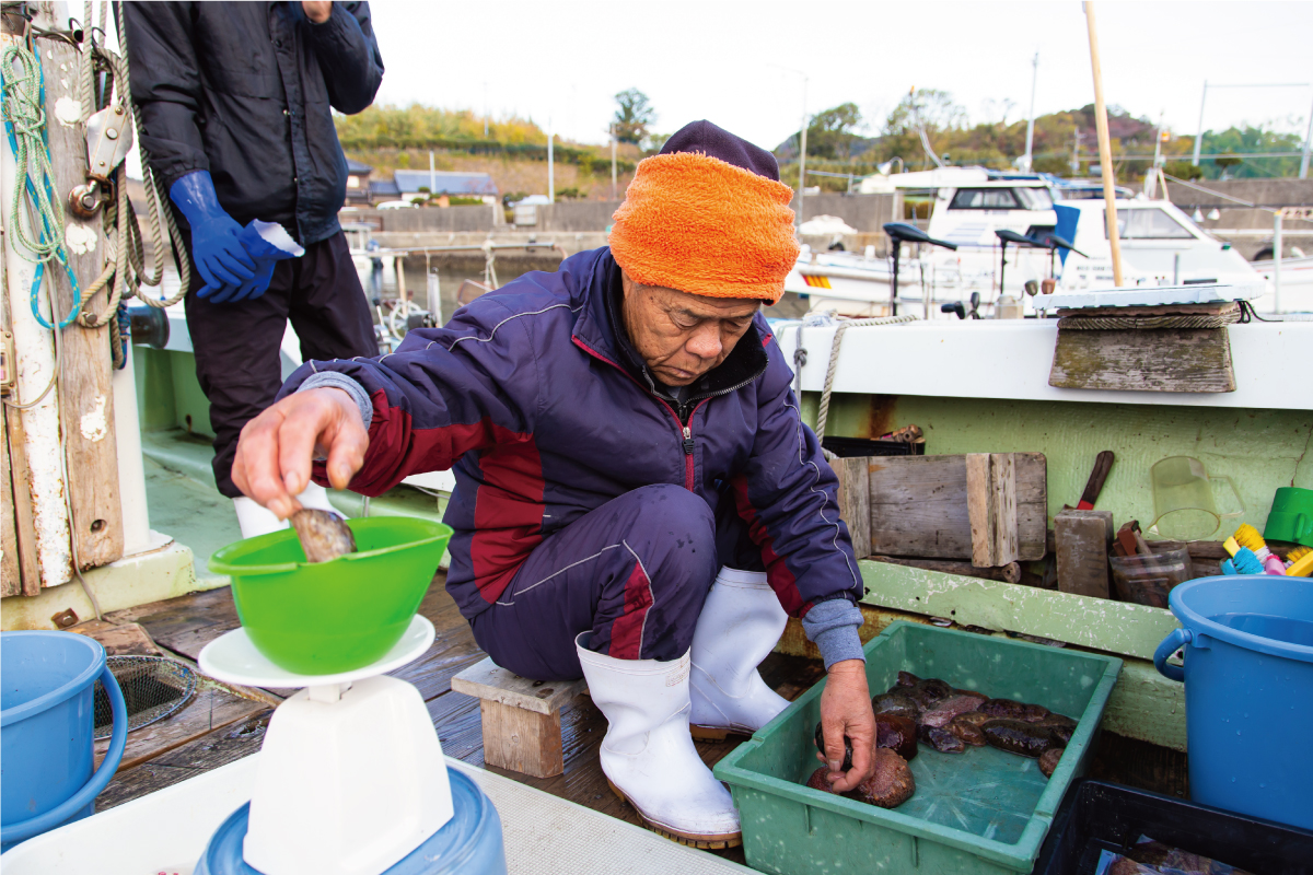 ナマコ漁をする川棚町の森さん
