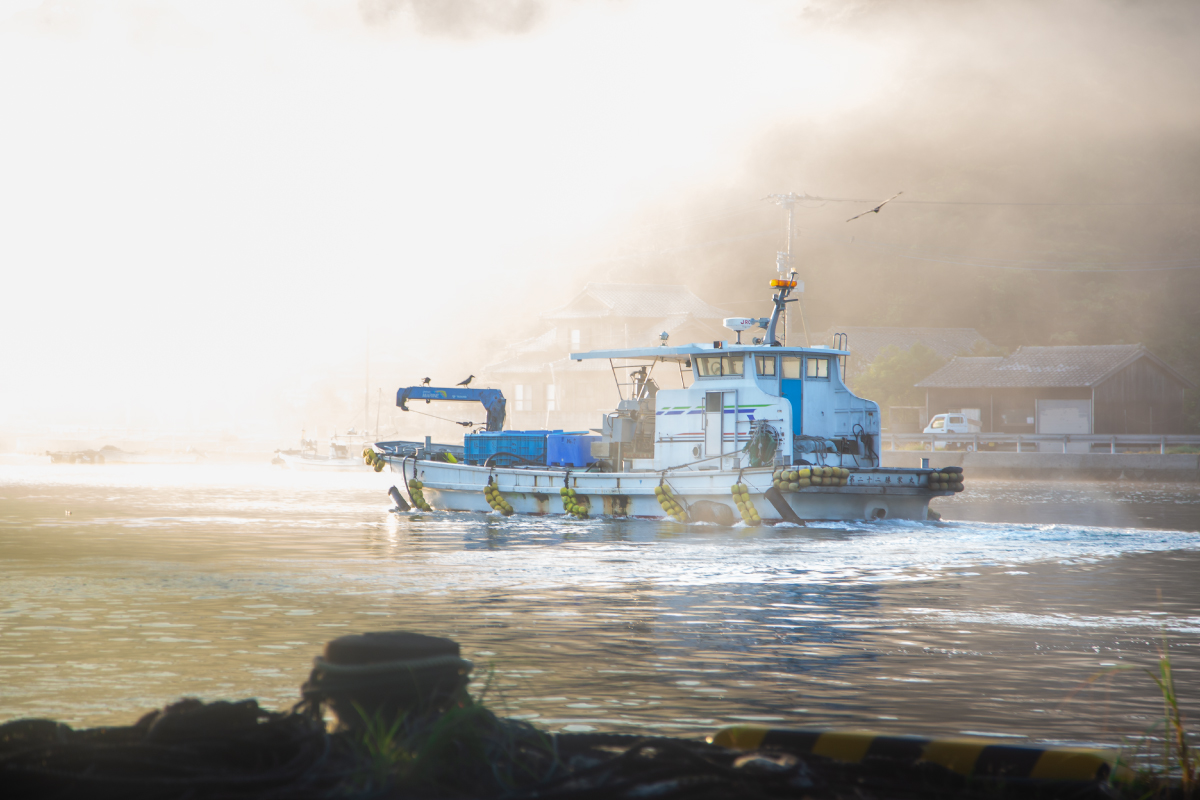 マグロ養殖のための船