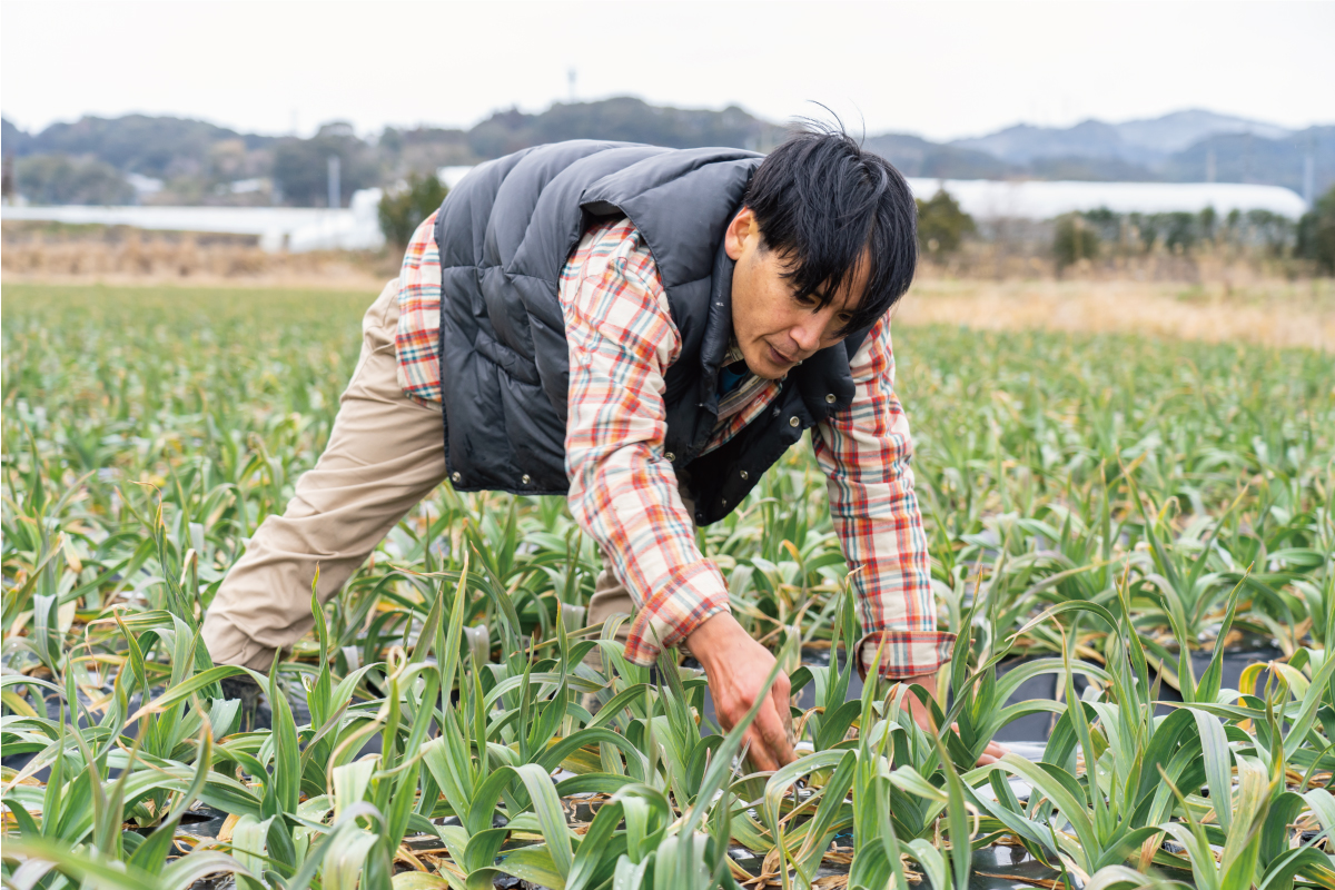 オイスターニンニクを栽培する田崎さん