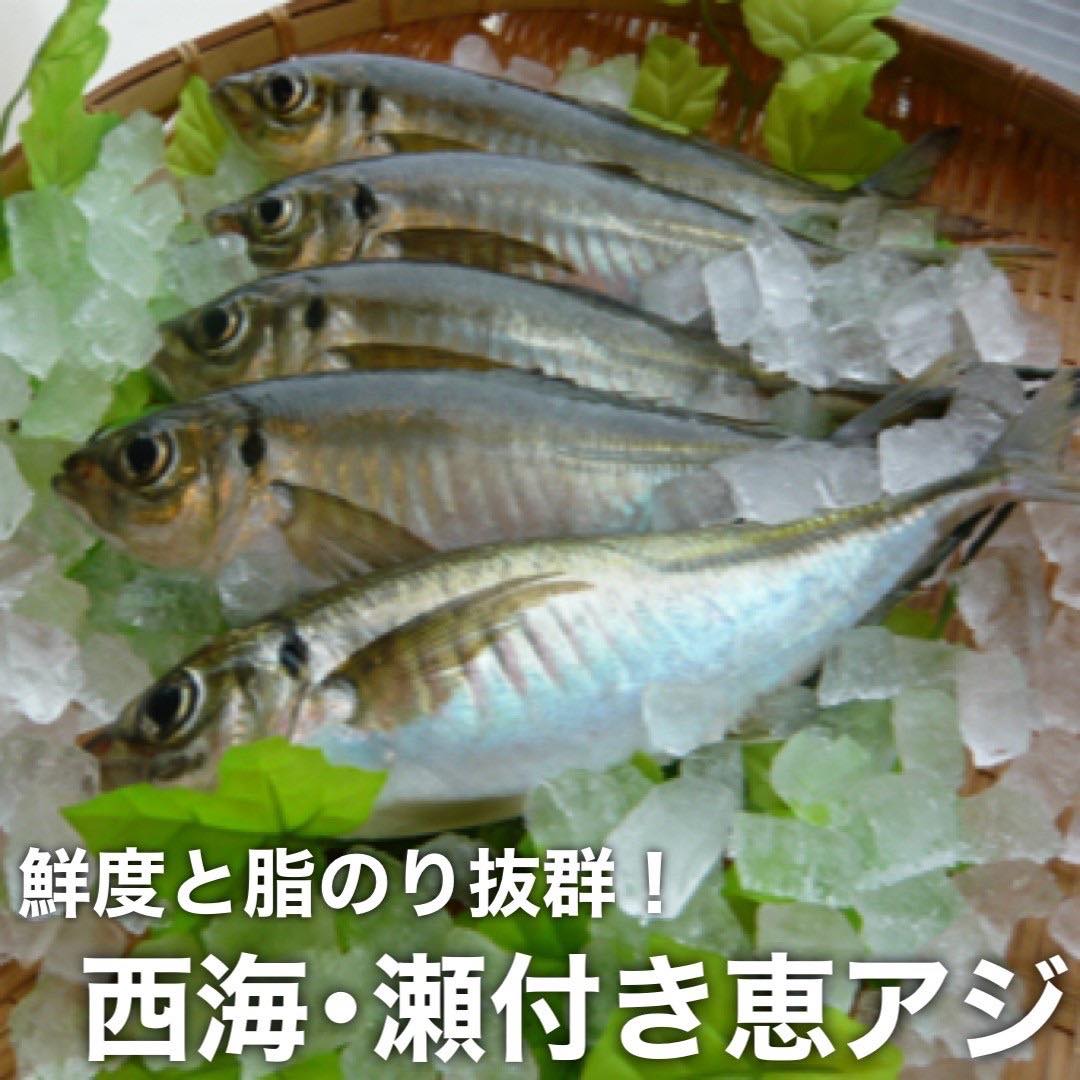 西九州食財】アジ | 西九州食財